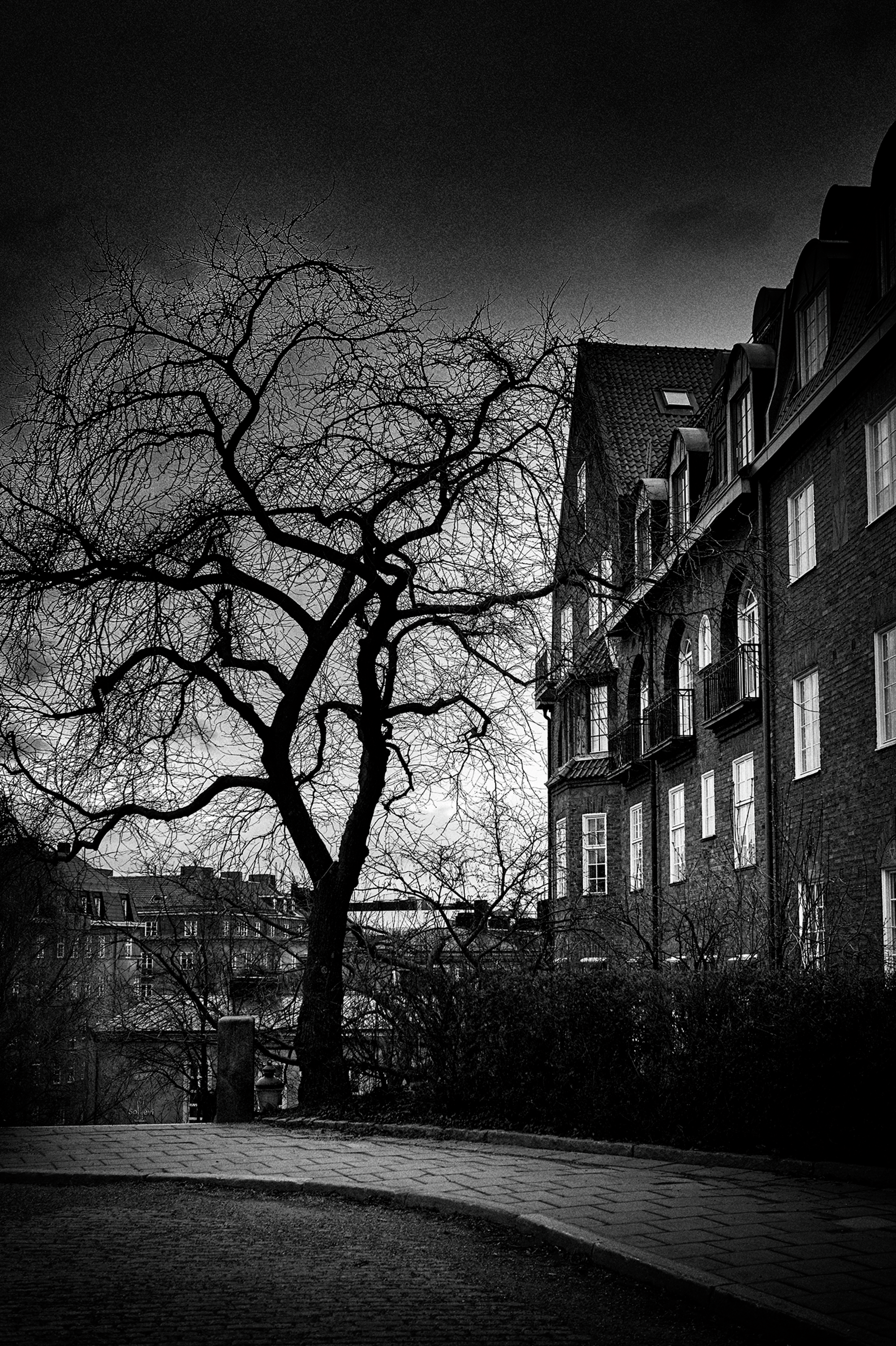 Stockholm City Street billede