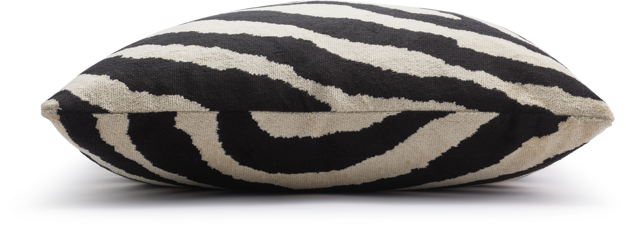 Arty Zebra Decorative pillow
